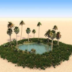 Oasis For Life 